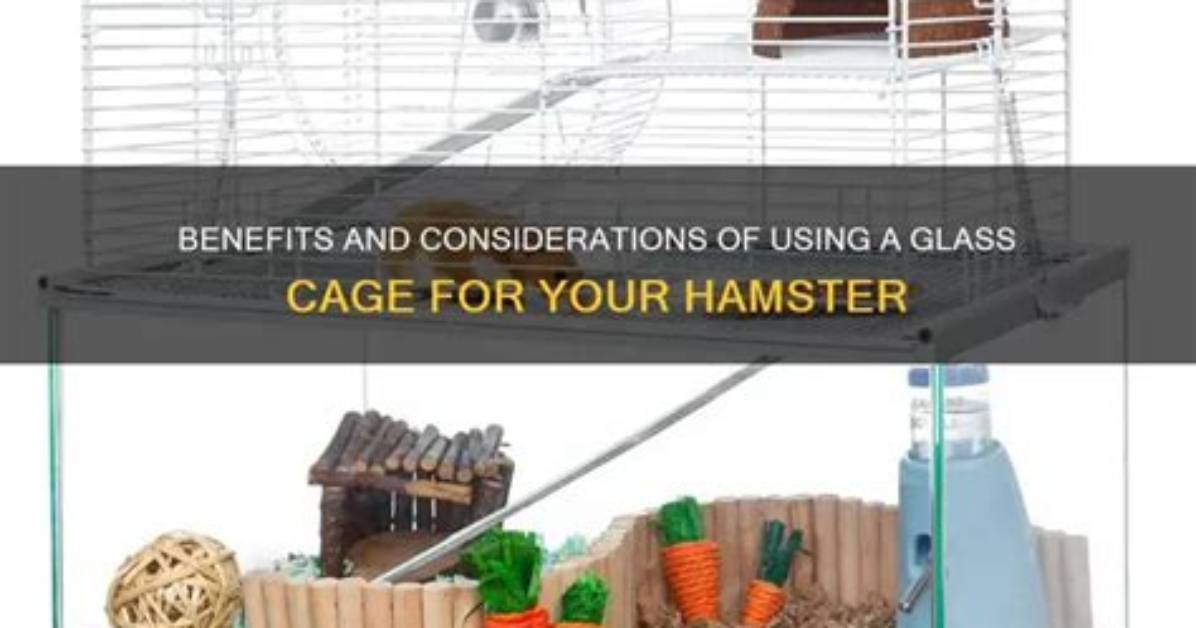 Is a Glass Cage Good for a Hamster