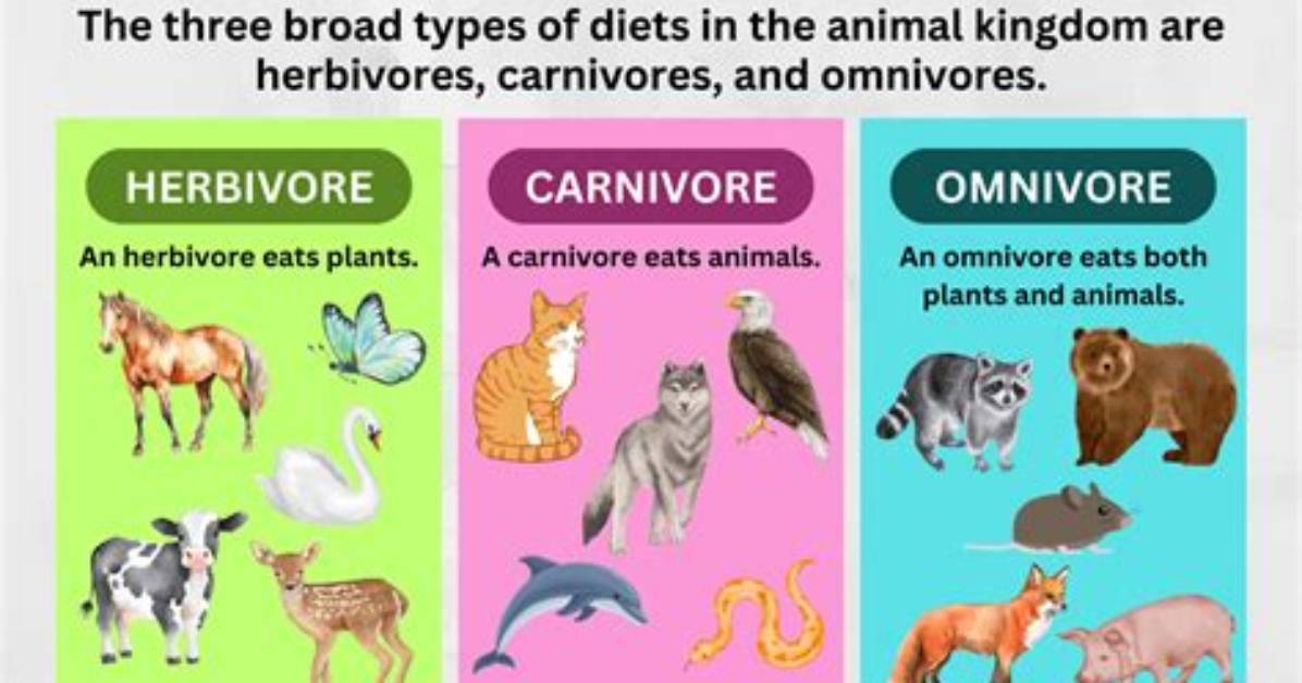 Is a Herbivore a Predator