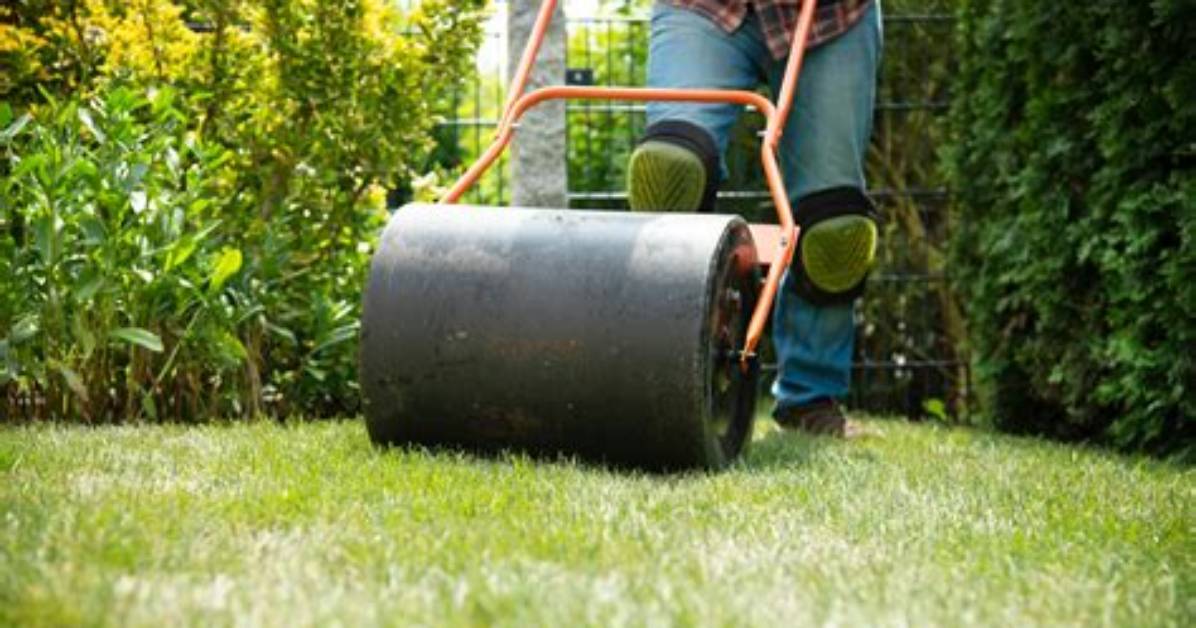 Is a Lawn Roller Necessary?