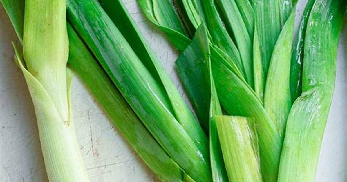 Is a Leek a Root Vegetable