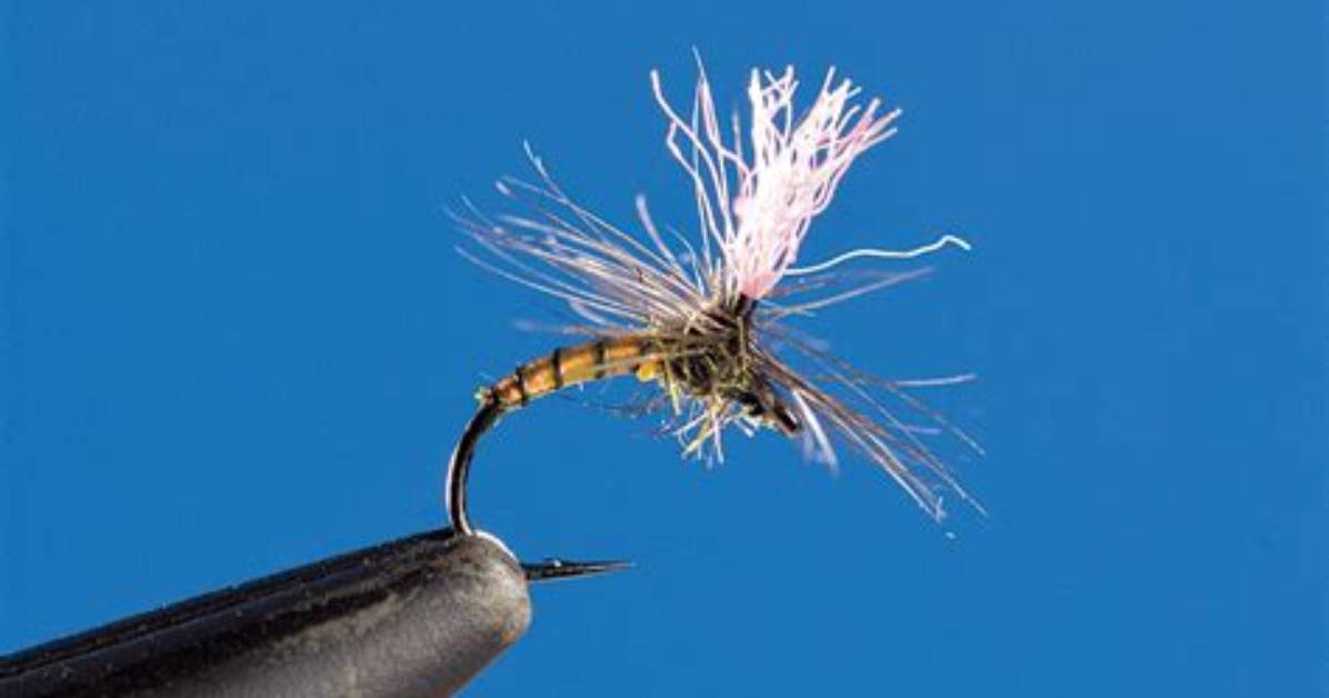 Is a Midge a Dry Fly?