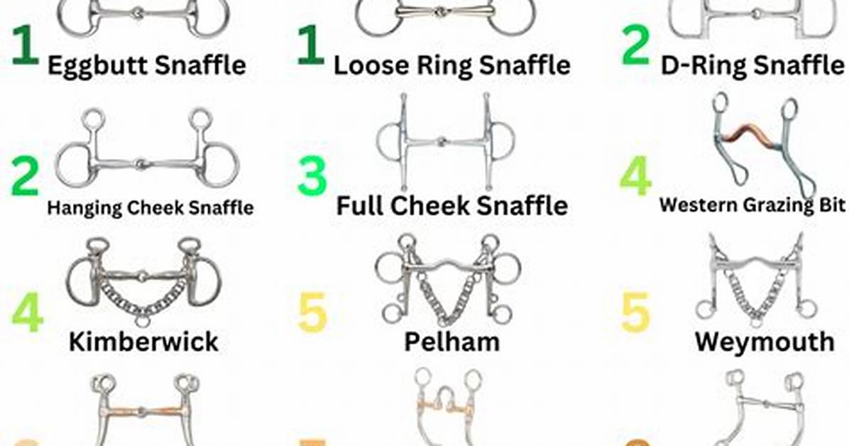 Is a Snaffle Bit Harsh?