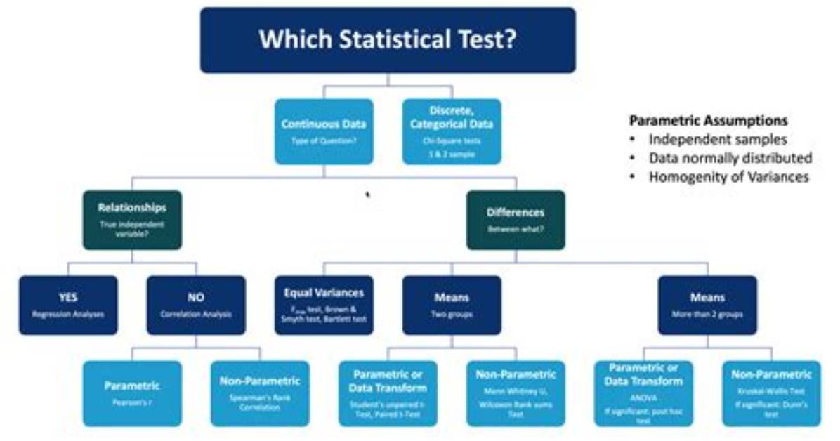 Is a Statistical Method?