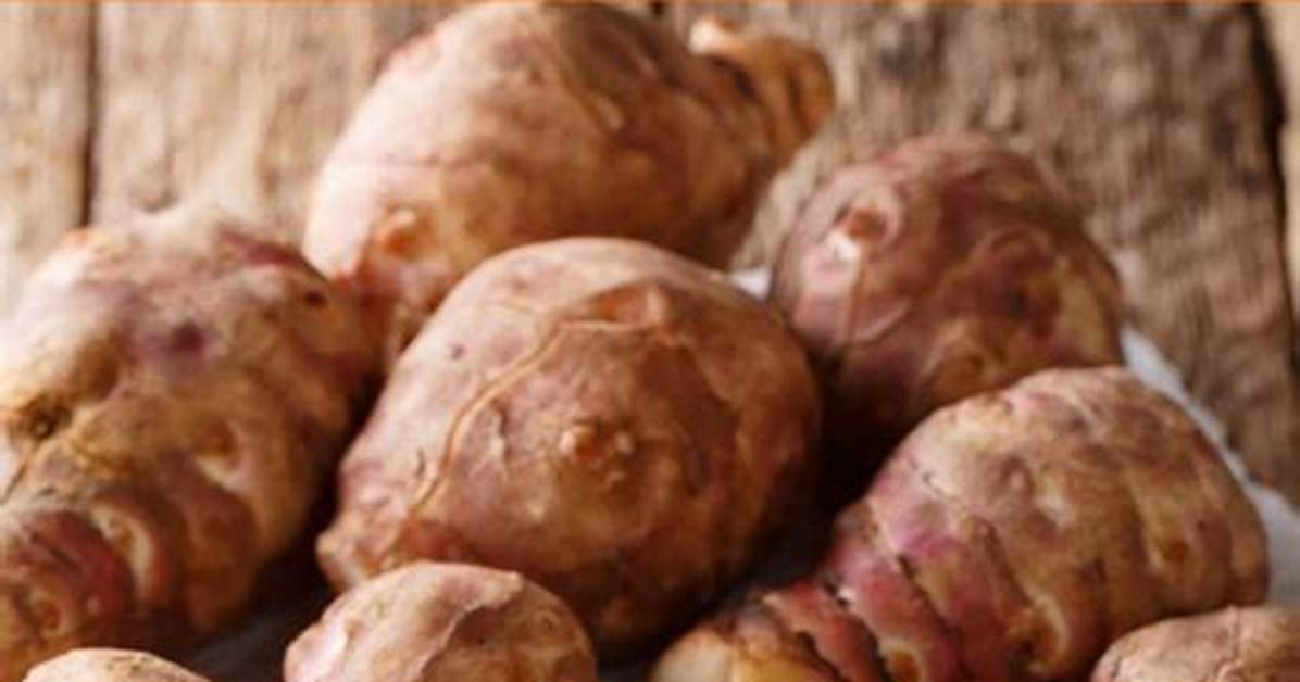 Is a Sunchoke a Starch