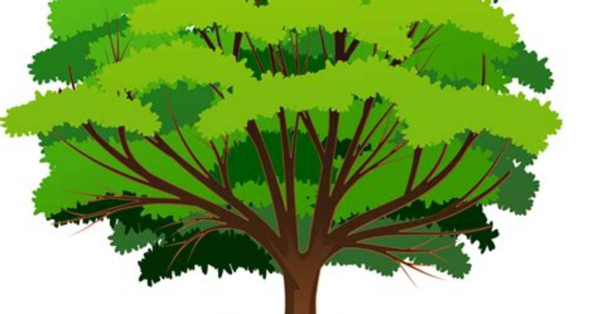 Is a Tree a Tree?