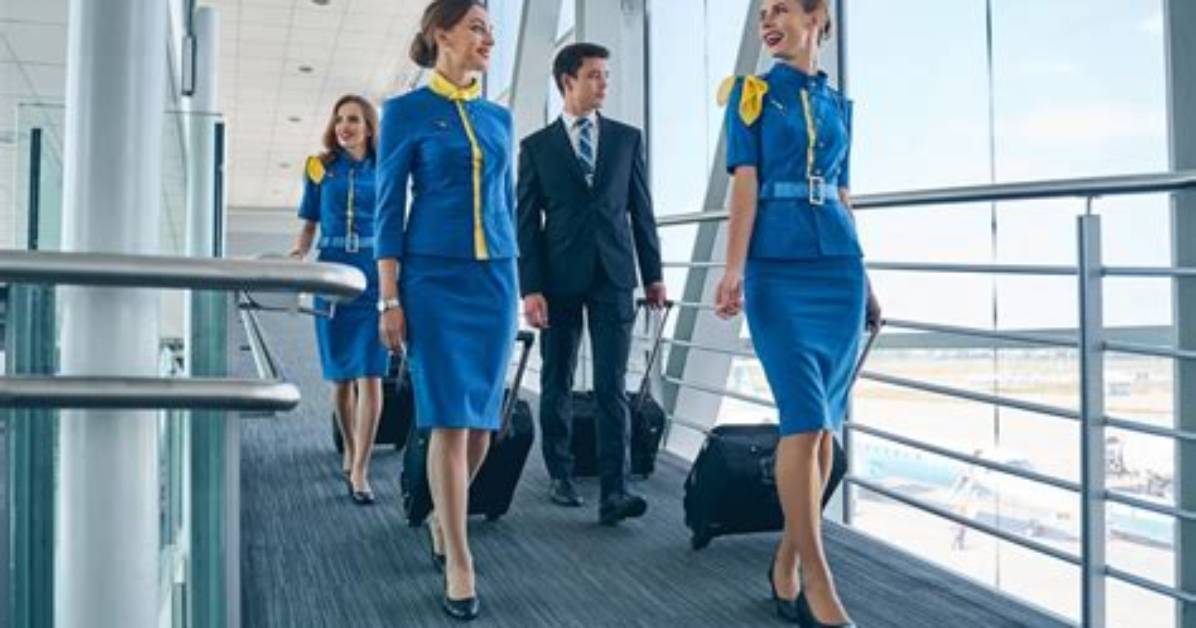 Is About Flight Attendants?