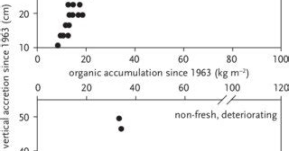 Is Accretion Same as Accumulation?