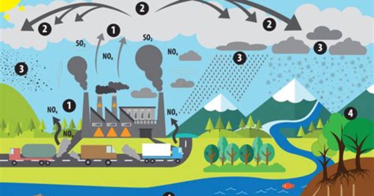 Is Acid Rain a Point Source Pollution