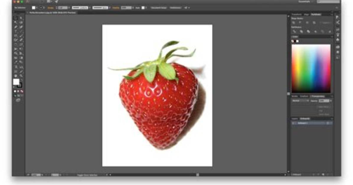 Is Adobe Illustrator Good for Drawing?