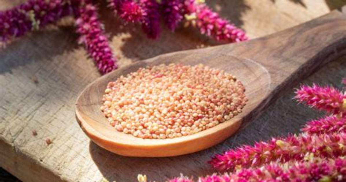 Is Amaranth a Carcinogen