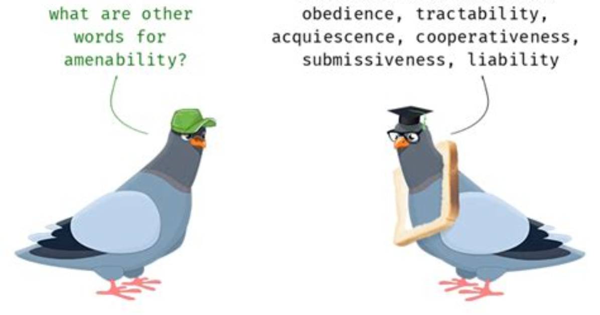Is Amenability a Word?