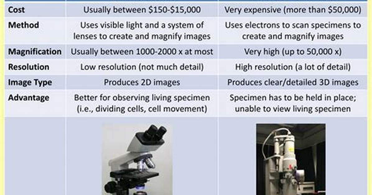 Is an Electron Microscope a Compound Microscope