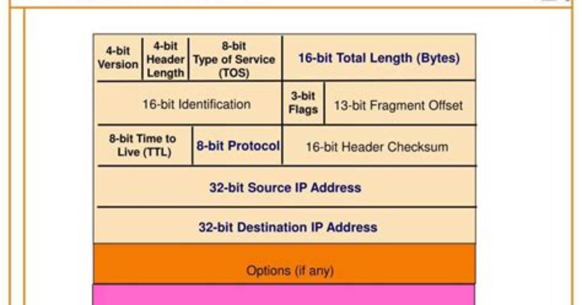 Is an Ip Address a Packet