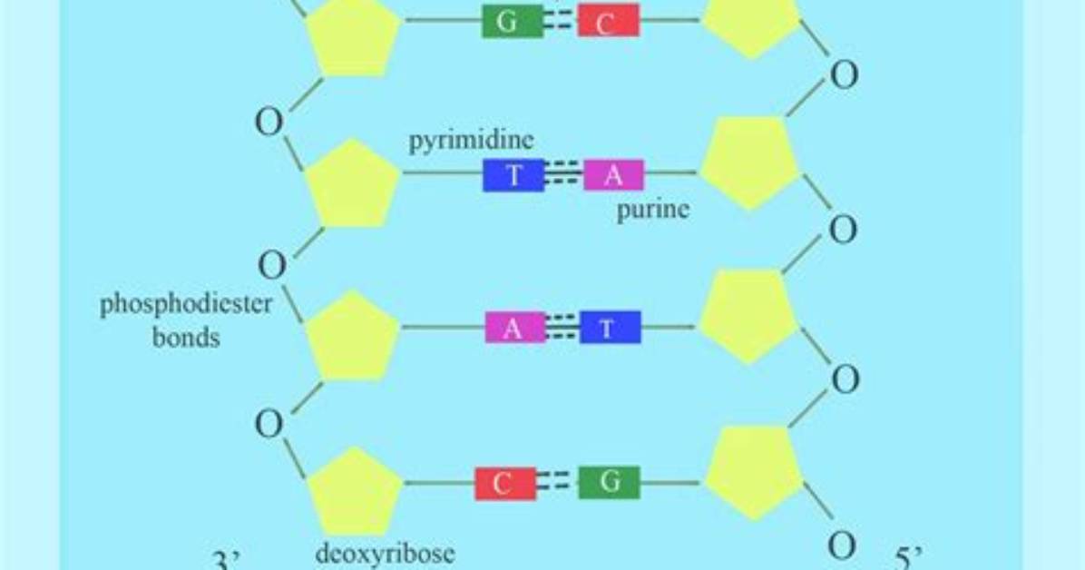 Is Antiparallel One Word?