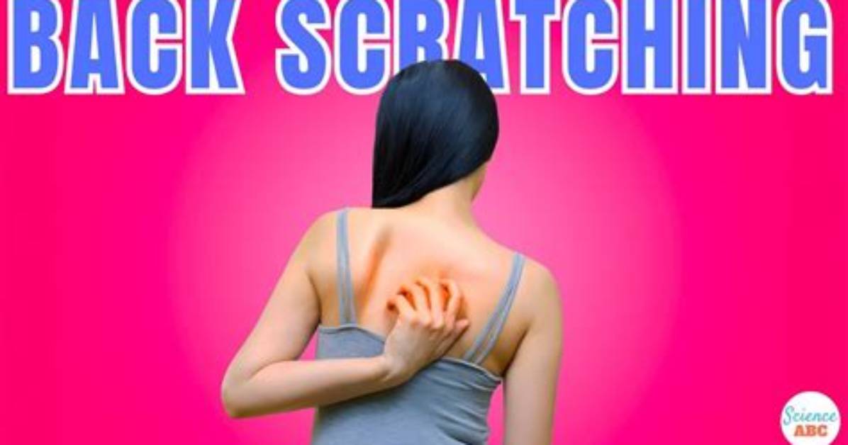 Is Back Scratching Good for You?