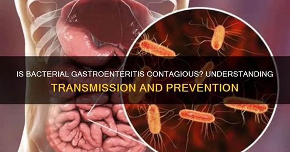 Is Bacterial Gastroenteritis Contagious