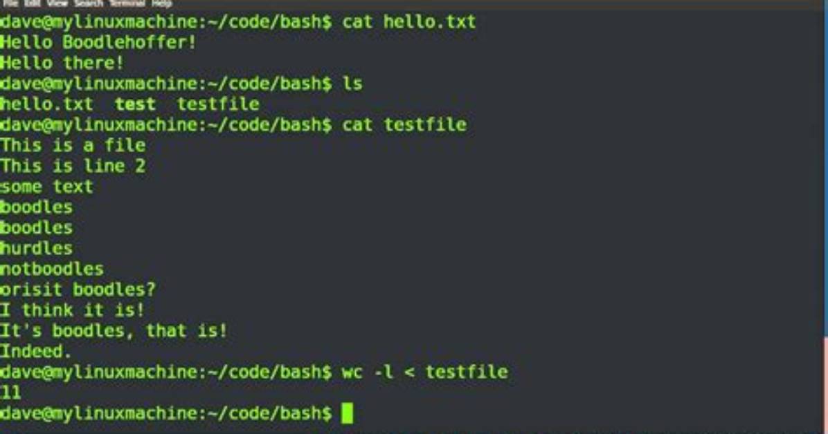 Is Bash a Programming Language?