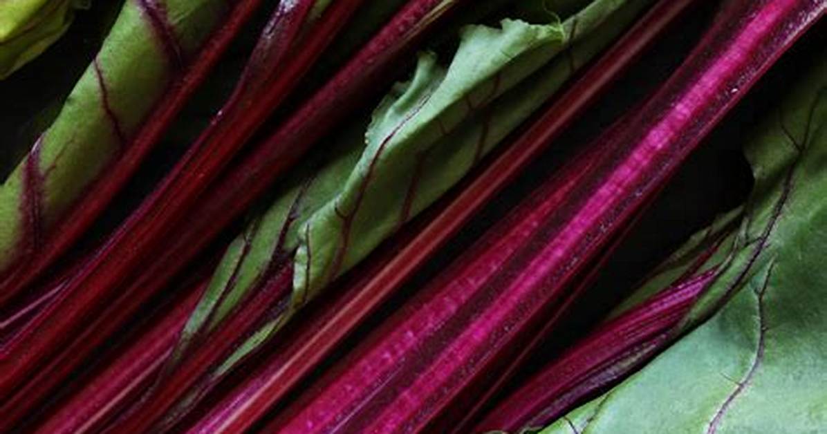 Is Beetroot a Root or Stem