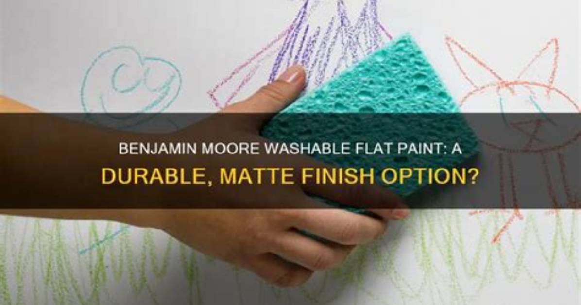 Is Benjamin Moore Flat Paint Washable