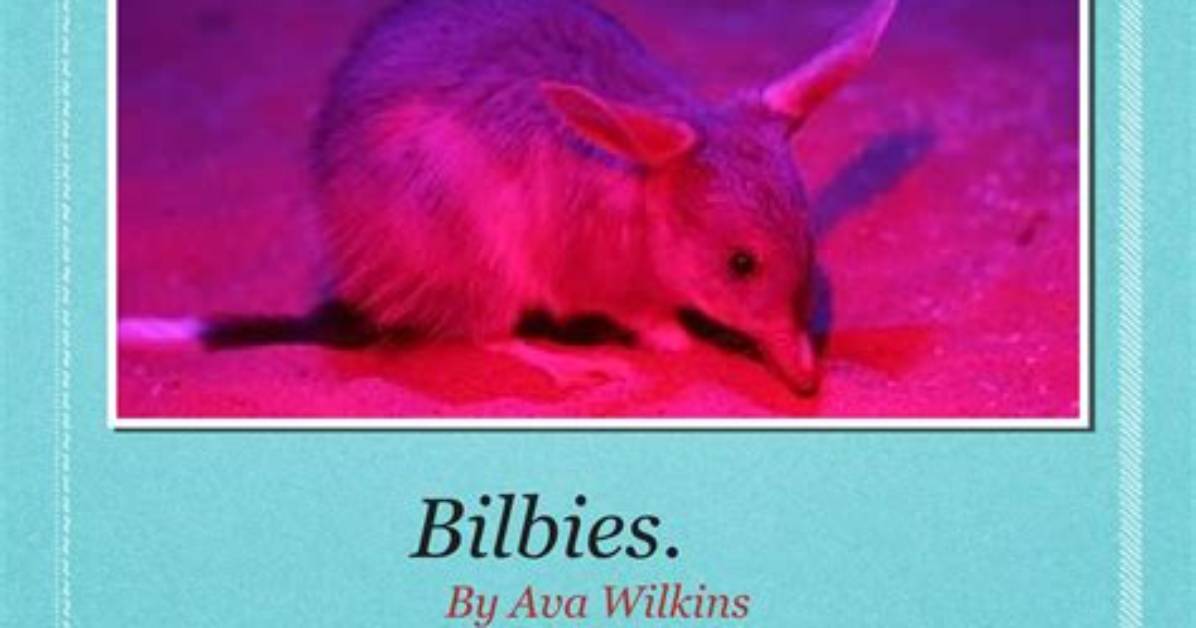 Is Bilbies a Word?