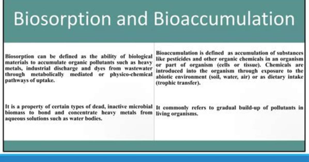 Is Biosorption a Bioaccumulation?