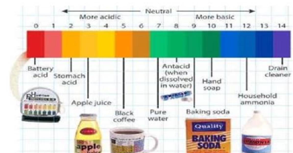 Is Bleach a Base or Acid