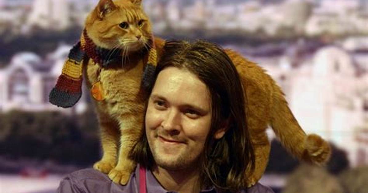 Is Bob a Real Cat