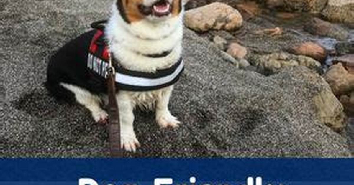Is Bodega Bay Dog Friendly