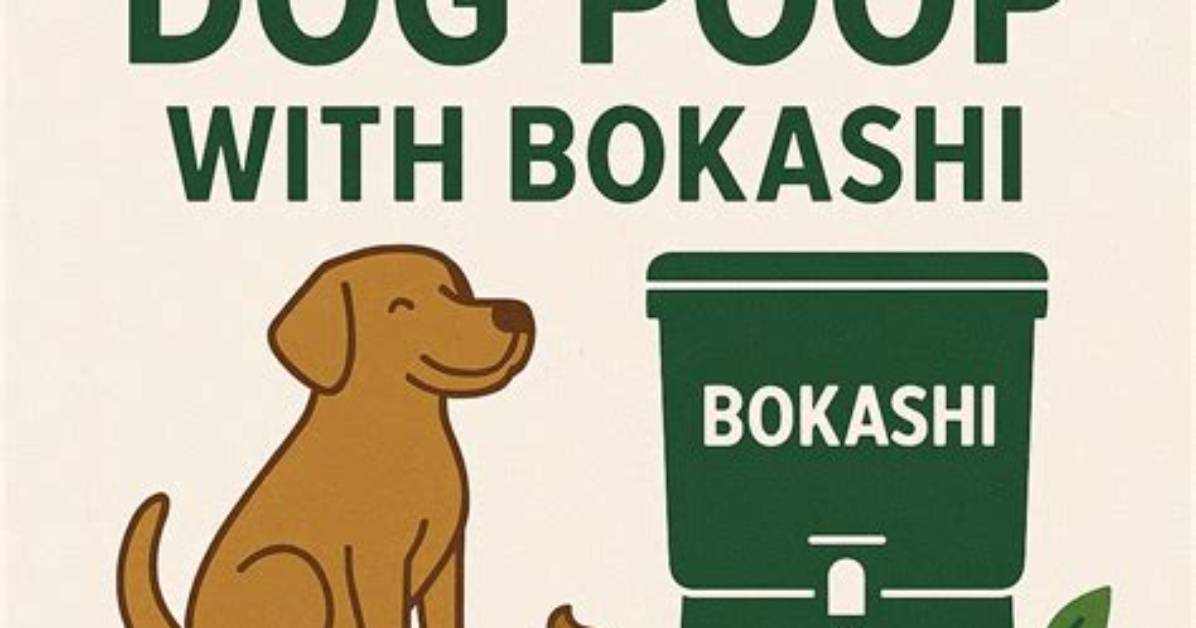 Is Bokashi Safe