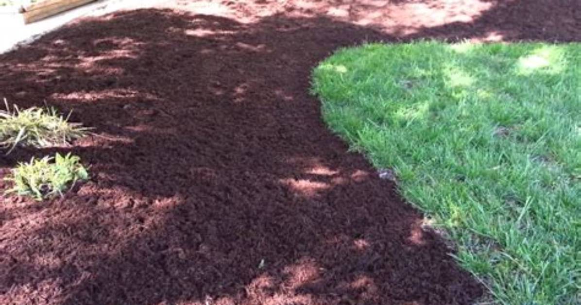 Is Brown Mulch Dyed