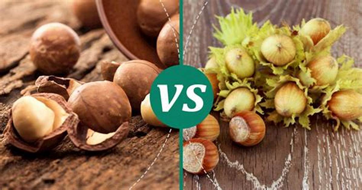 Is Buckeyes the Same as Hazelnuts?
