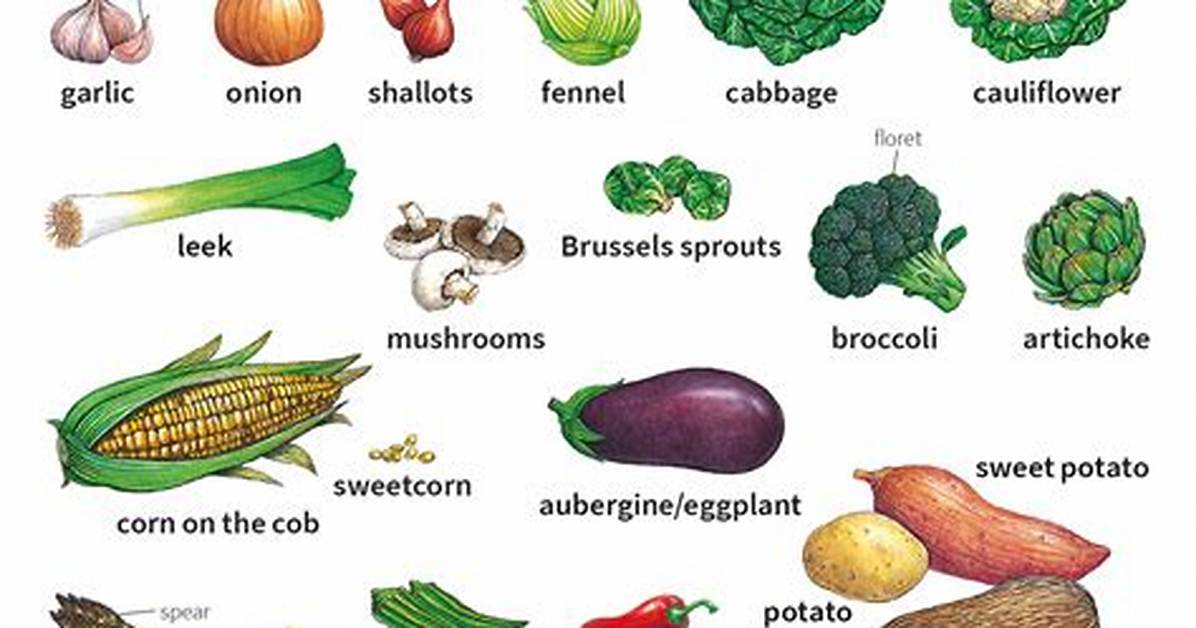 Is Cabbage a Countable Noun?