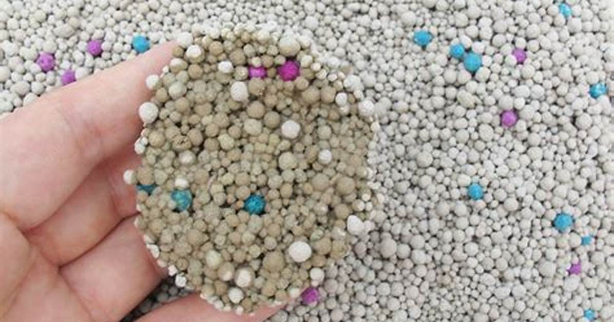 Is Cat Litter Absorbent
