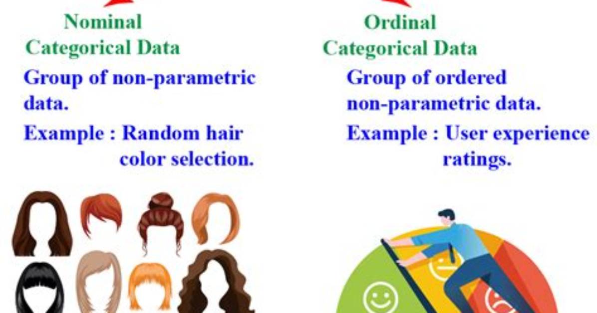 Is Categorical Data Qualitative?