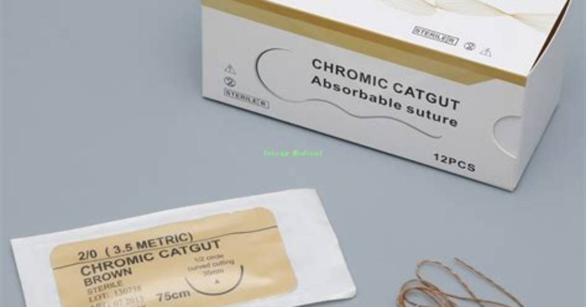 Is Catgut Suture Absorbable