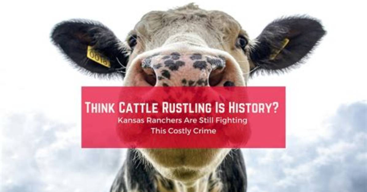Is Cattle Rustling Still a Problem?