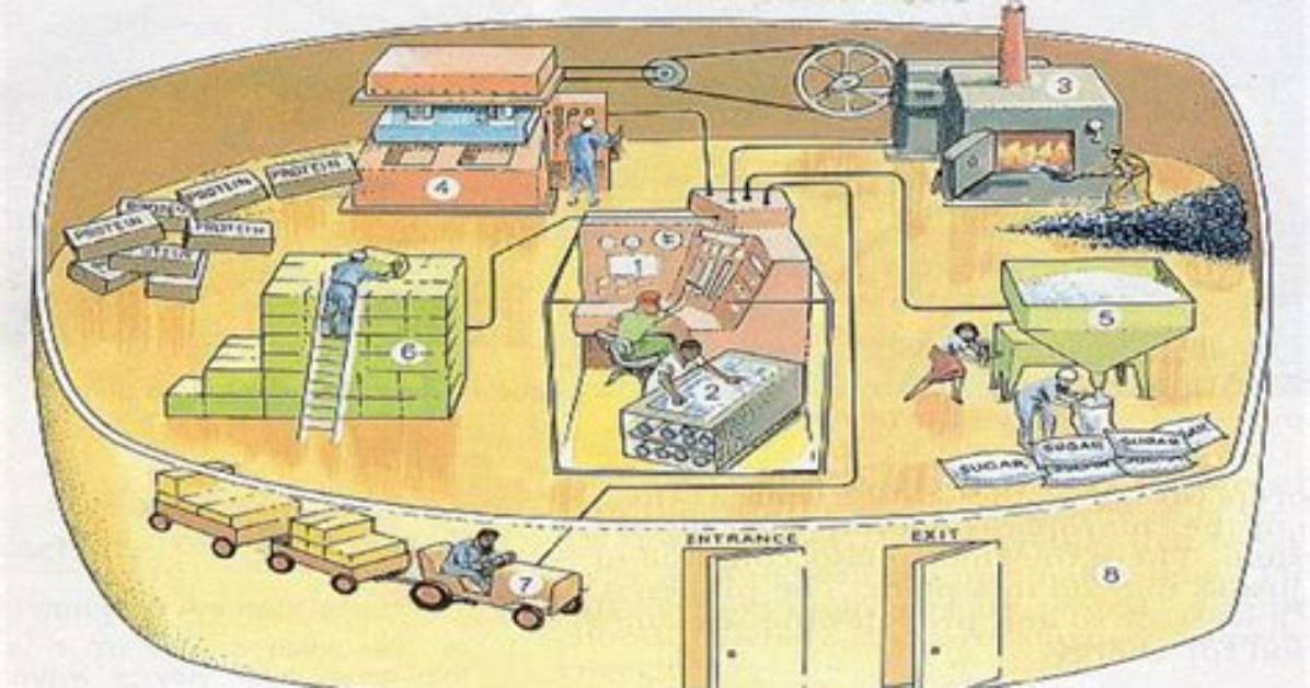 Is Cell Like a Factory?