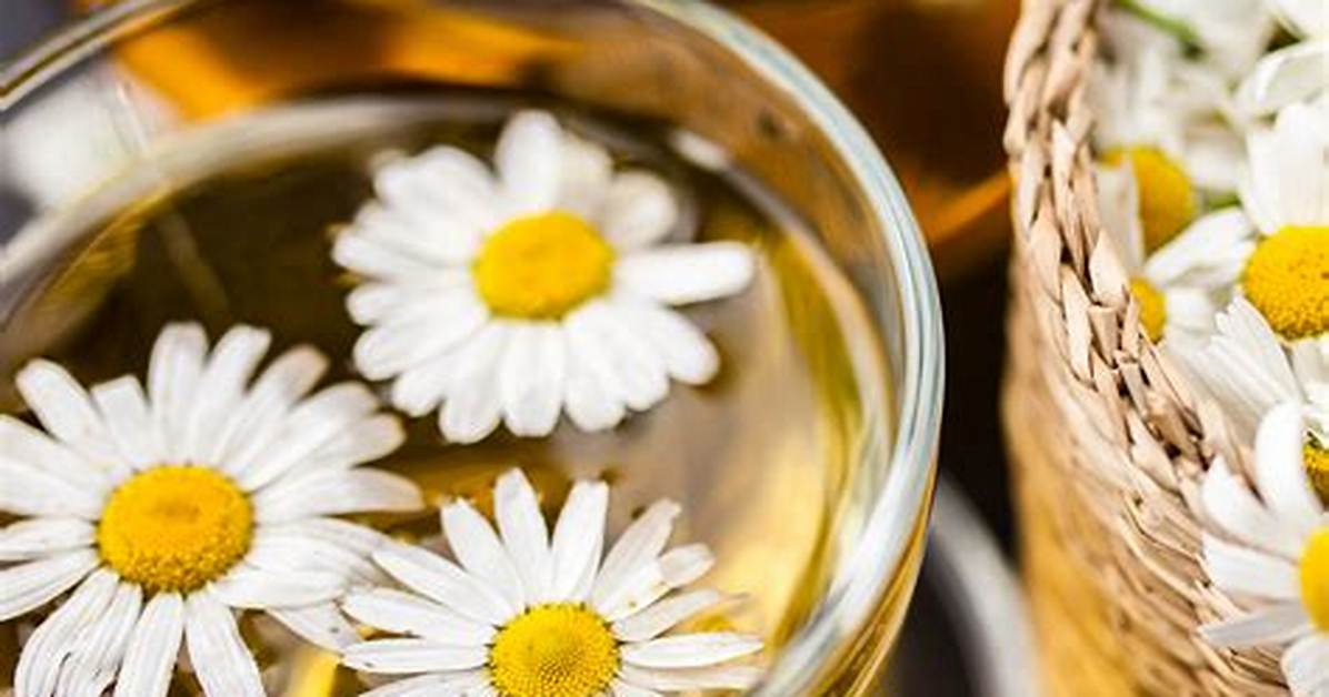 Is Chamomile a Middle Note