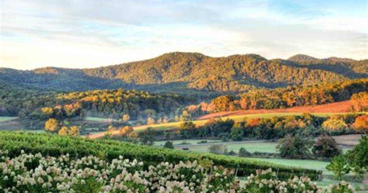 Is Charlottesville Va Safe? | Contextresponse. Com