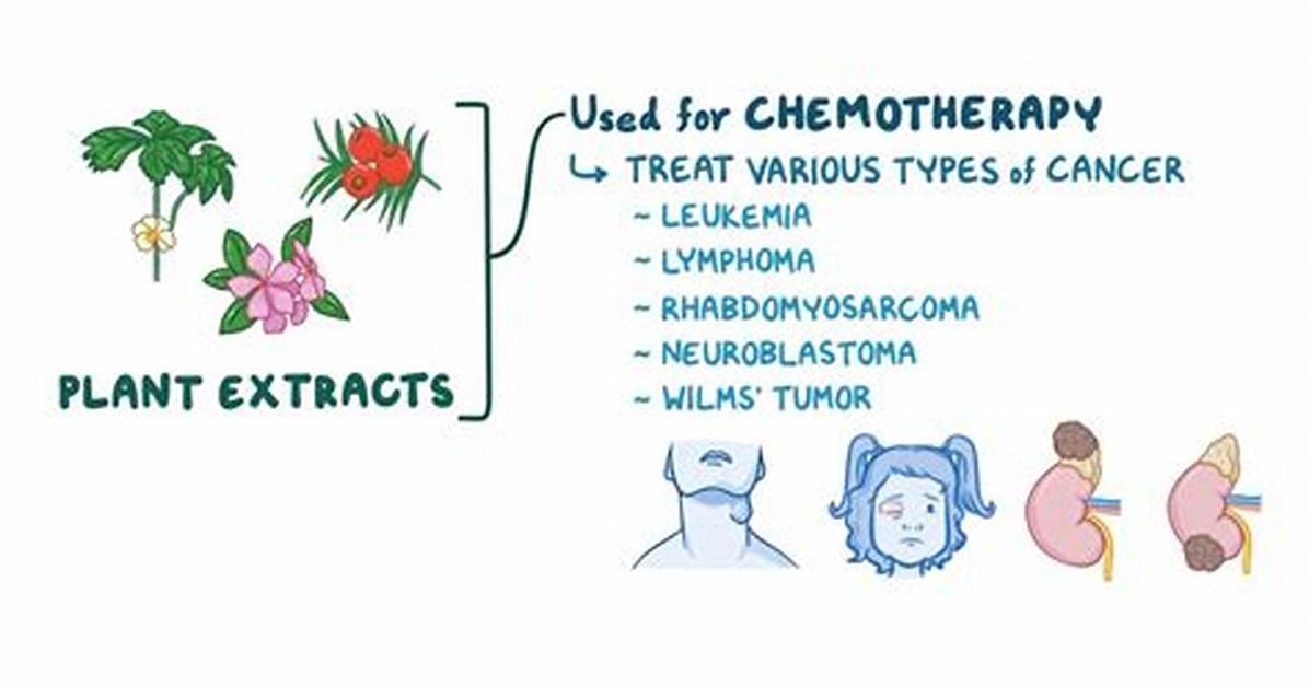 Is Chemo Made from Plants