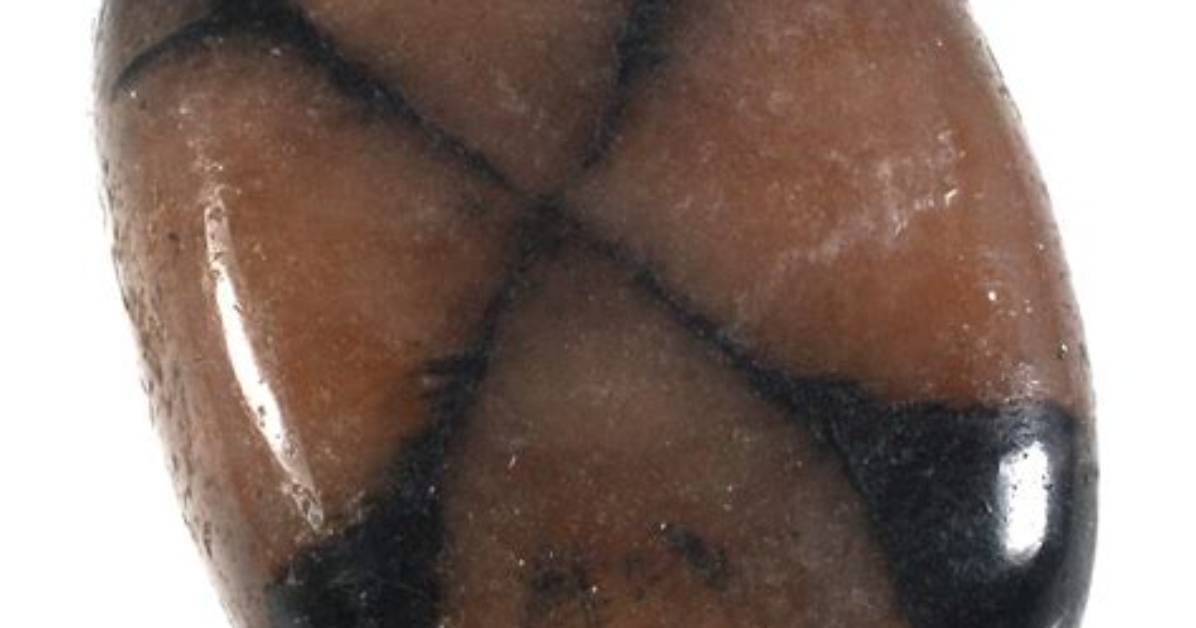 Is Chiastolite a Rock?