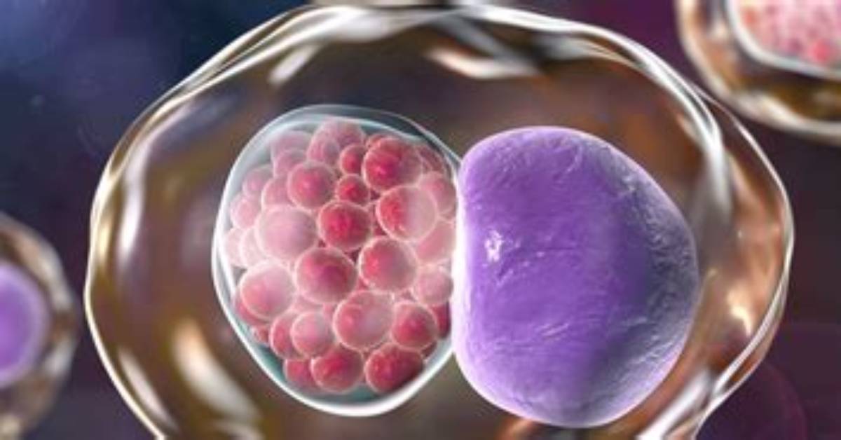 Is Chlamydia a Virus?