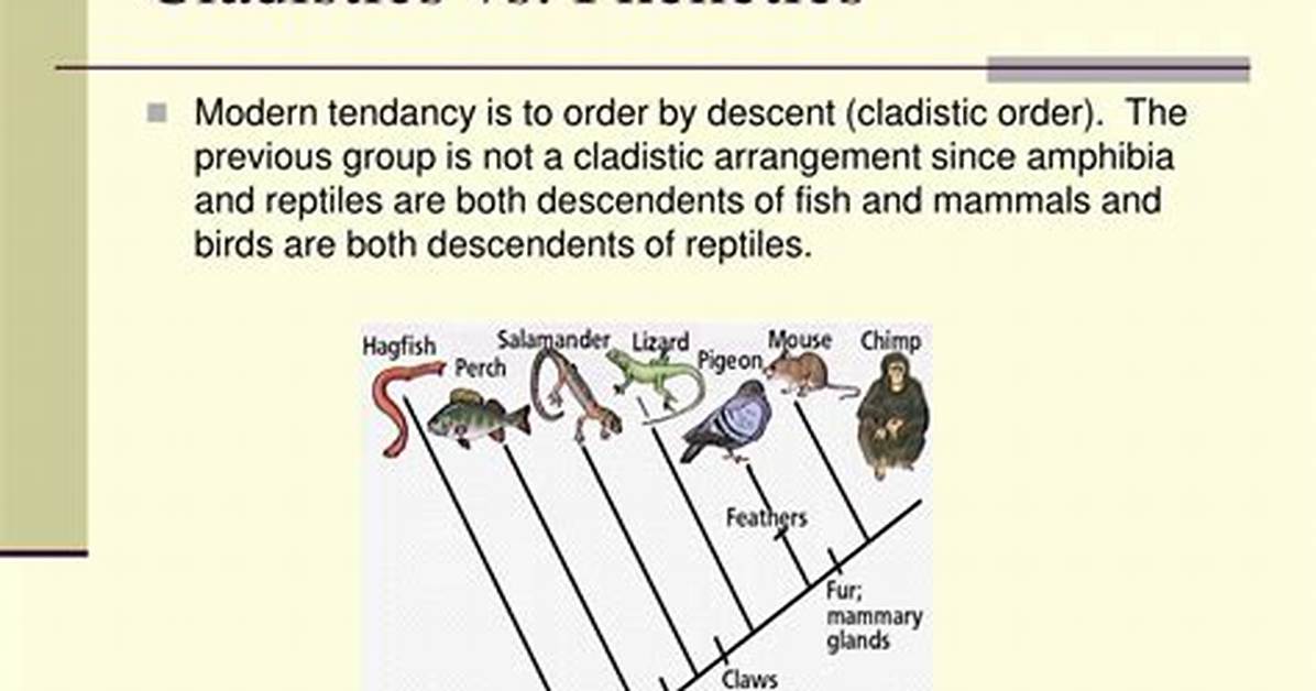 Is Cladistics a Phenetics?