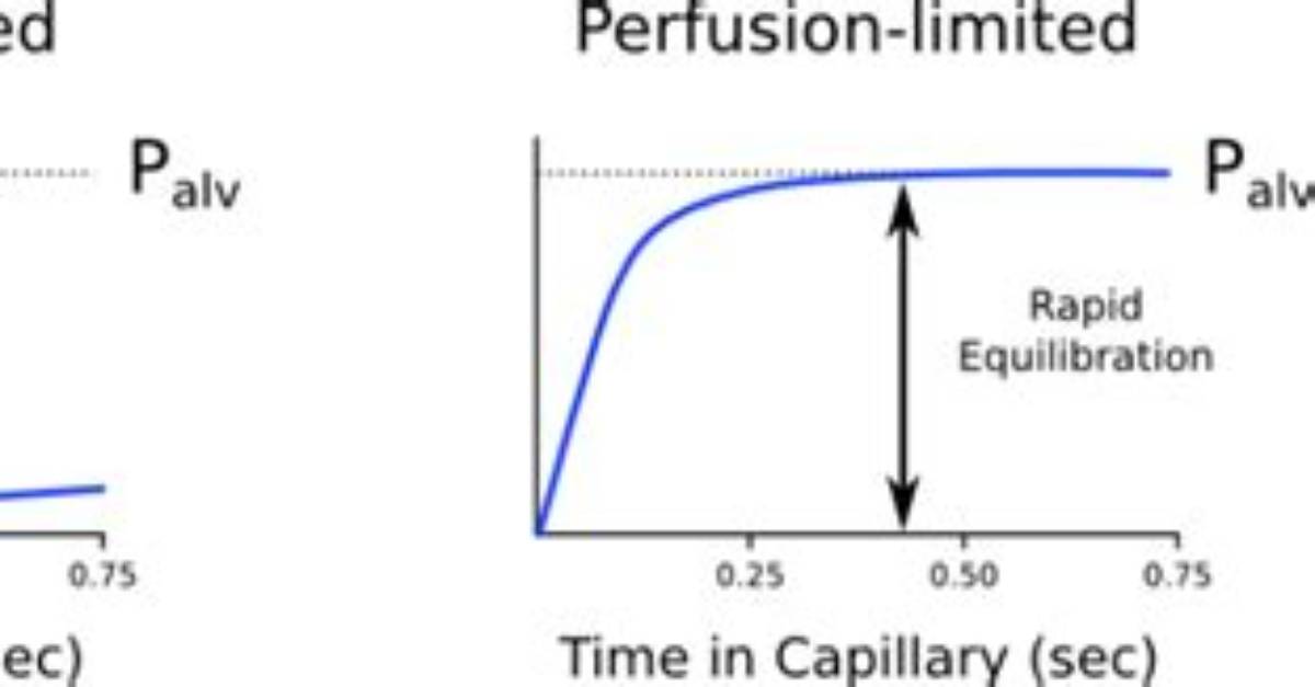 Is Co2 Diffusion Limited