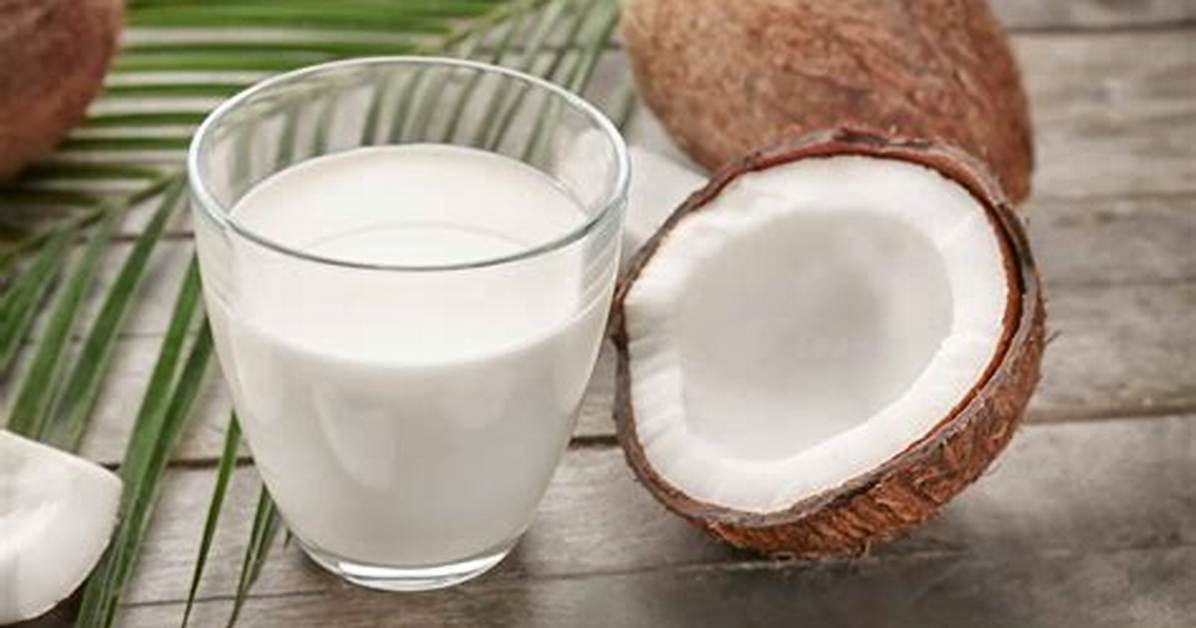 Is Coconut Milk Dairy - How to Discuss