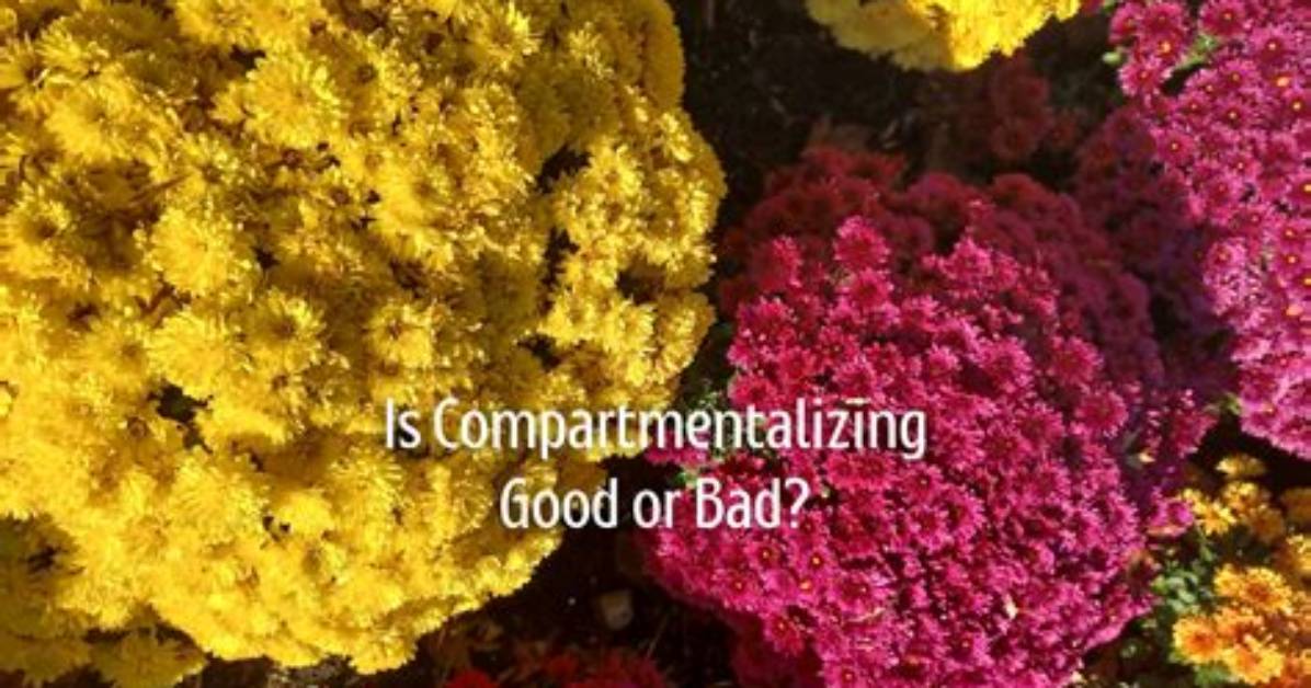 Is Compartmentalizing Good or Bad?