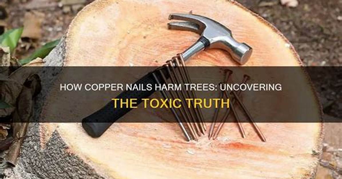 Is Copper Toxic to Trees