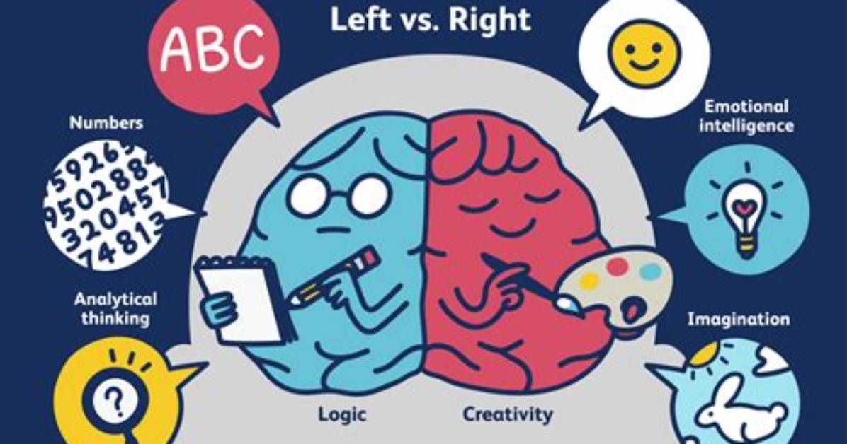 Is Creativity Right or Left Brained?