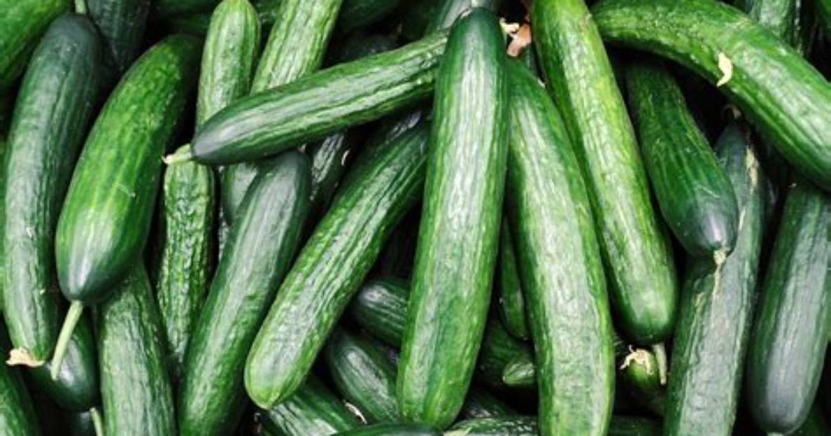 Is Cucumbers a Fruit?