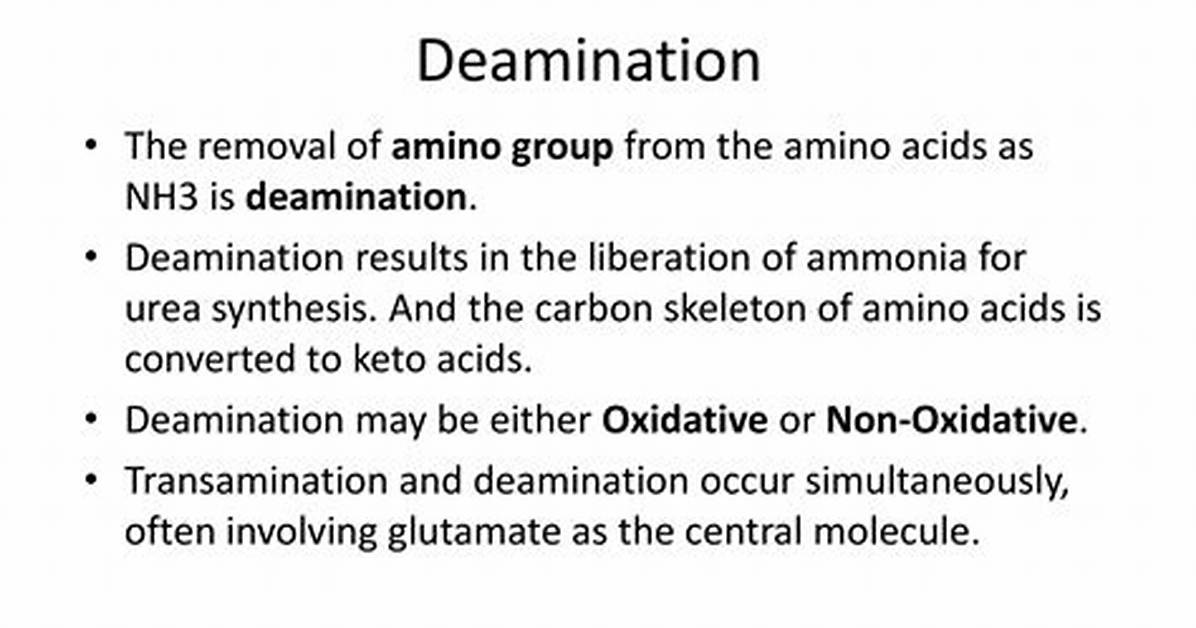 Is Deamination a Word?